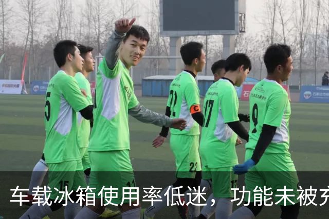 车载冰箱使用率低迷，功能未被充分发挥